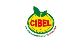 Cibel logo